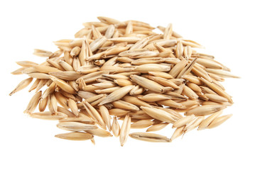Heap of oat seeds