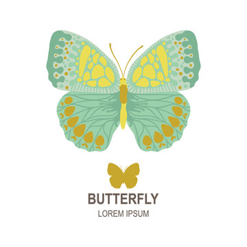 Vector butterfly logo template, vector butterfly icon