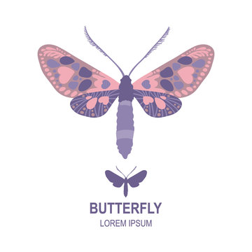 Vector butterfly logo template, vector butterfly icon