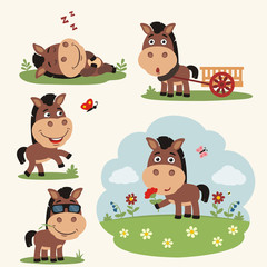 Vector set funny horse in different poses on summer meadow with flowers. Collection horse in cartoon style.