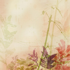 grunge background with different leaves