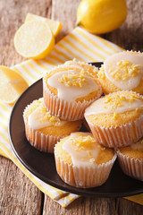 Sweet lemon muffins with zest and icing sugar close-up on a plate. vertical