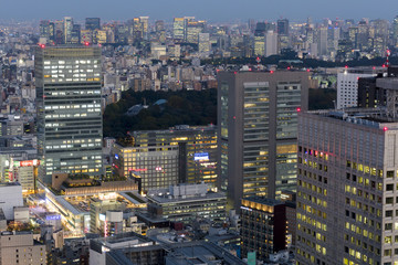 東京都市風景　夕景　夕トワイライト　新宿駅周辺と大手町丸の内を望む　俯瞰