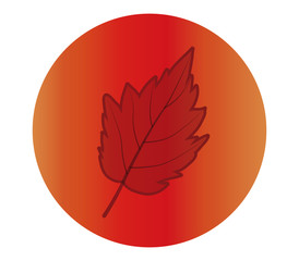 Leaf icon. Autumn season floral garden and nature theme. Colorful design. Vector illustration