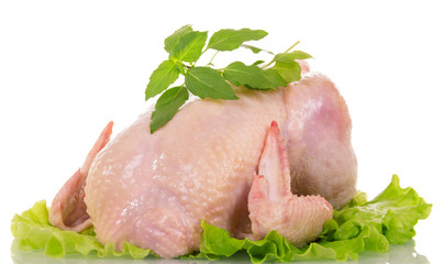 Whole raw chicken meat, lettuce and basil isolated on white.