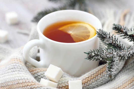 Cup of hot tea with lemon and woolen scarf