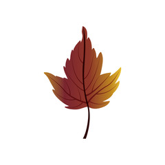 Leaf icon. Autumn season floral garden and nature theme. Colorful design. Vector illustration