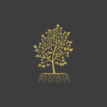 Vector tree with roots logo element