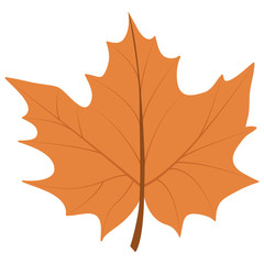 Obraz premium Leaf icon. Autumn season floral garden and nature theme. Colorful design. Vector illustration