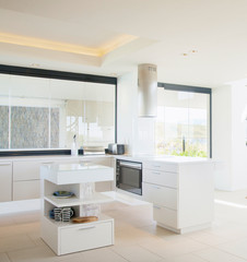 Kitchen in New Luxury Home 