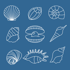 Sea shell outline icons on blue background. Vector illustration