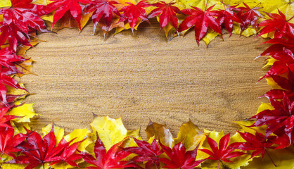Frame composed of colorful autumn leaves