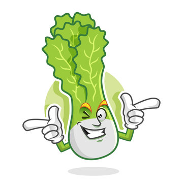 Funky wink lettuce mascot, lettuce character, lettuce cartoon, vector of lettuce