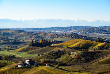 Autumn in northern italy region called langhe with colorful wine