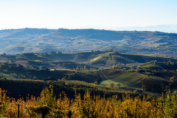 Fototapeta na wymiar Autumn in northern italy region called langhe with colorful wine