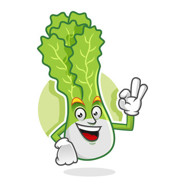 Delicious lettuce mascot, lettuce character, lettuce cartoon, vector of lettuce