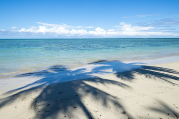 Palm trees cast shadows on wide remote tropical Brazilian island beach in Bahia Nordeste Brazil