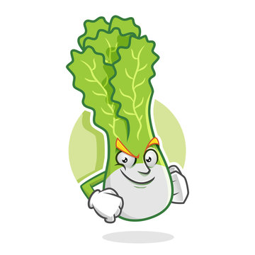 Confident lettuce mascot, lettuce character, lettuce cartoon, vector of lettuce
