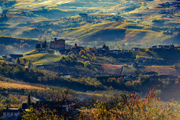 Naklejka premium Autumn in northern italy region called langhe with colorful wine