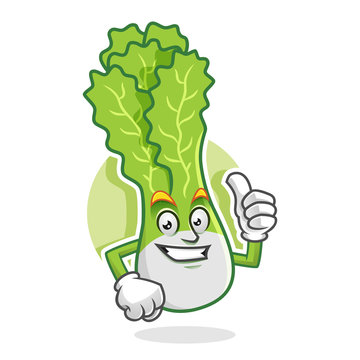 Thumb up lettuce mascot, lettuce character, lettuce cartoon, vector of lettuce