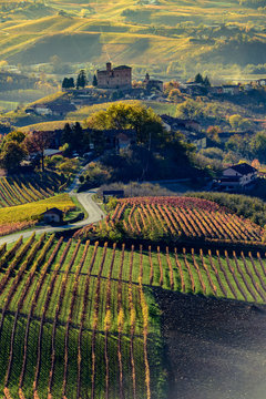 Fototapeta Autumn in northern italy region called langhe with colorful wine