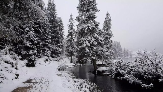 Misurina