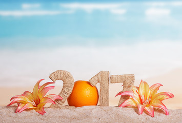 Orange instead number 0 in amount 2017, flowers against sea.