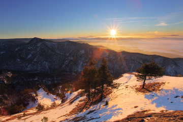 Winter sunset with forest in Slovakia