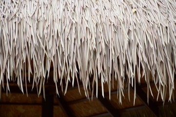 dry Nypa fruticans leaves roof