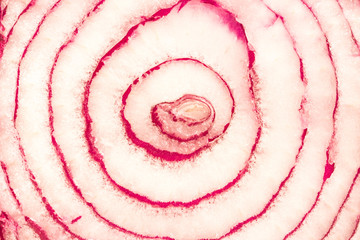 Closeup of red onion