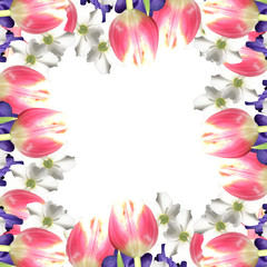 Beautiful floral background with orchids, tulips and narcissus 