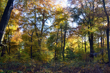 Obraz premium kletterspaß