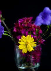 Magenta, yellow flowers in a glass,.Black background