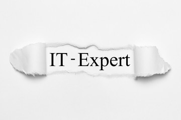 IT-Expert on white torn paper