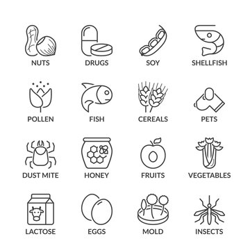 basic allergens thin line icons with text