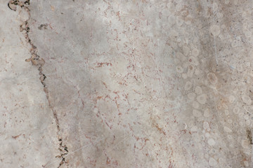 Marble texture background