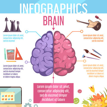 Brain Cerebral Hemispheres Functions Infographic Poster