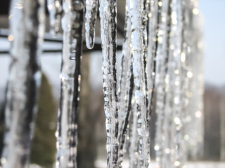 icicles