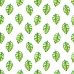 retro seamless texture with green leaves. watercolor painting