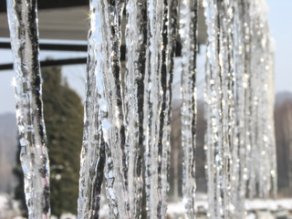 icicles