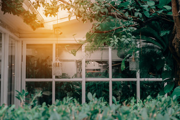 House With Windows Surrounded By Tree With Filter.