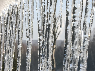 icicles