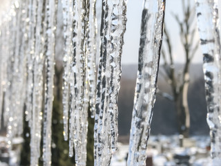 icicles