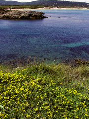 cote d'azur