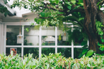 Fototapeta na wymiar House With Windows Surrounded By Tree. blurred background