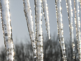 icicles