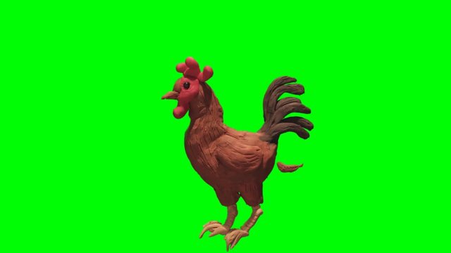 Claymation Rooster Crow Greenscreen