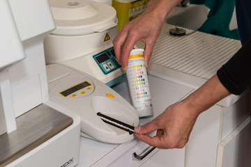 Le vétérinaire, analyse d'urine sur un chien un test  détermine le PH.