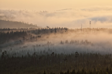 Sonnenaufgang über mit Wald bedeckten Bergen im Nebel