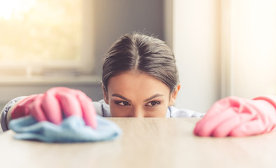 Woman cleaning her house - obrazy, fototapety, plakaty